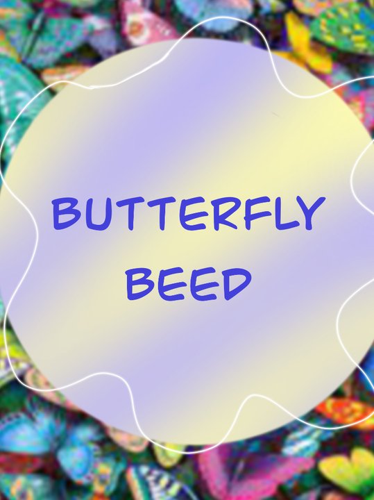 Butterfly needs